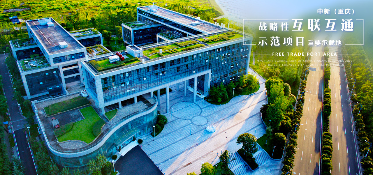 &#20048;&#40060;&#25163;&#26426;&#31449;&#20837;&#21475;&#45;&#20048;&#40060;&#111;&#110;&#108;&#105;&#110;&#101;&#40;&#20013;&#22269;&#41;